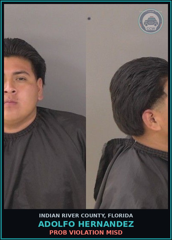 Booking mugshot of Adolfo Hernandez in Indian River County
