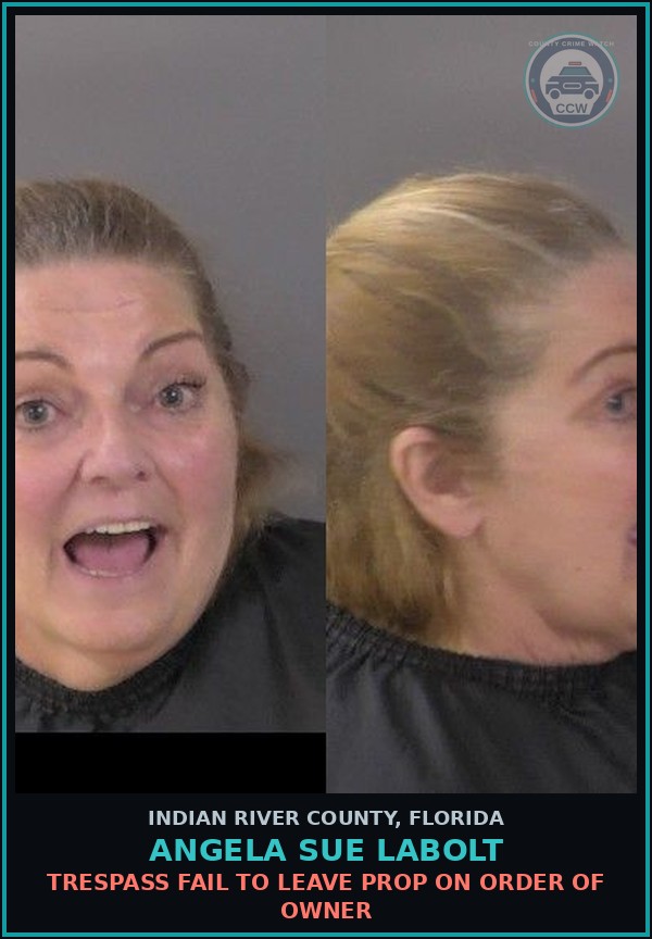 Booking mugshot of Angela Sue Labolt in Indian River County