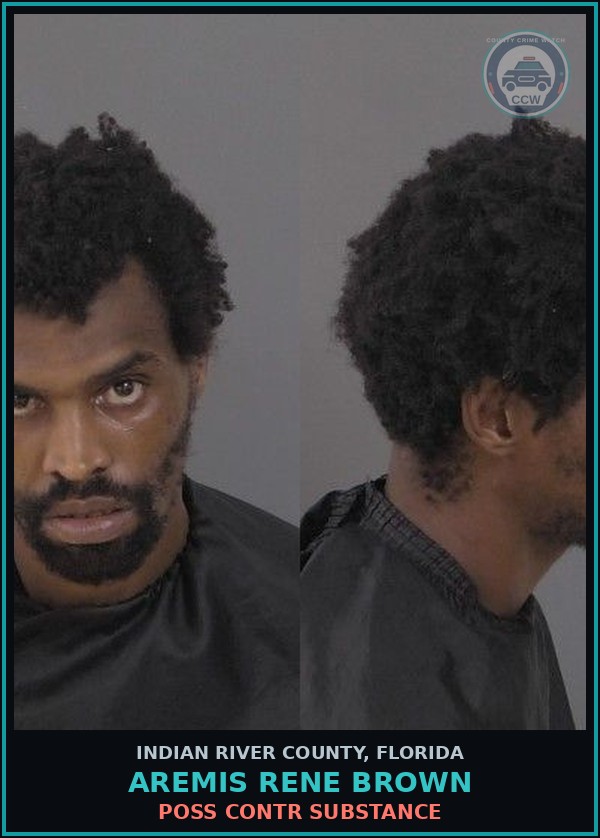 Booking mugshot of Aremis Rene Brown in Indian River County