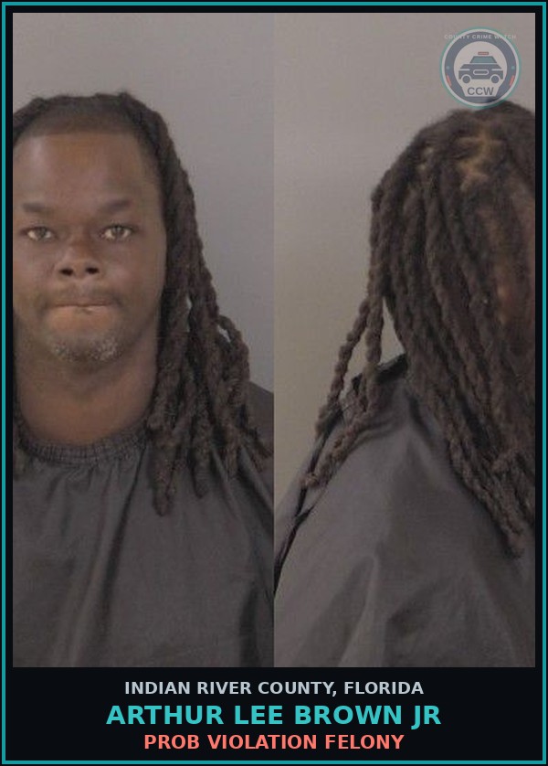 Booking mugshot of Arthur Lee Brown Jr in Indian River County