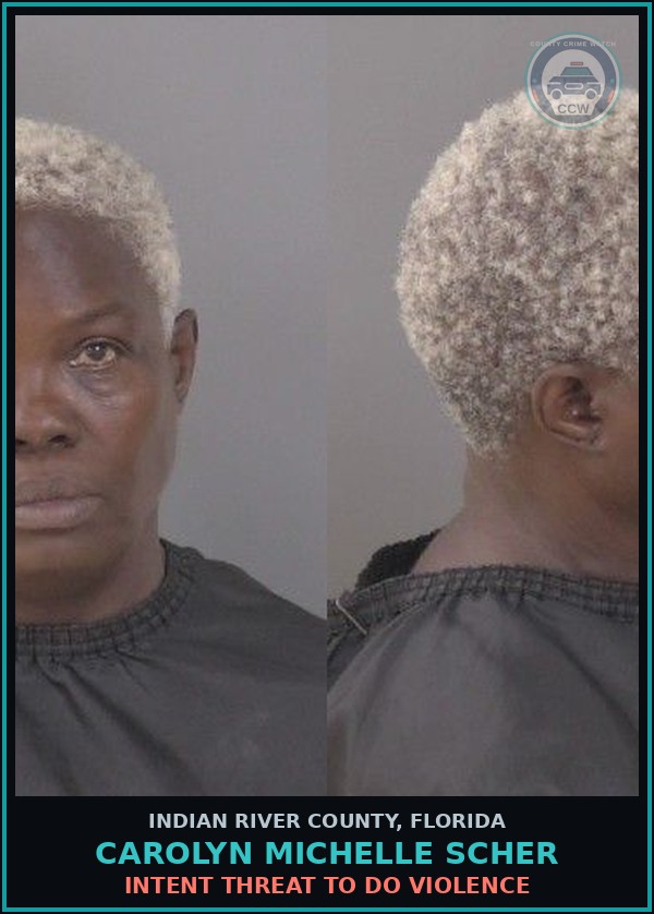 Booking mugshot of Carolyn Michelle Scher in Indian River County