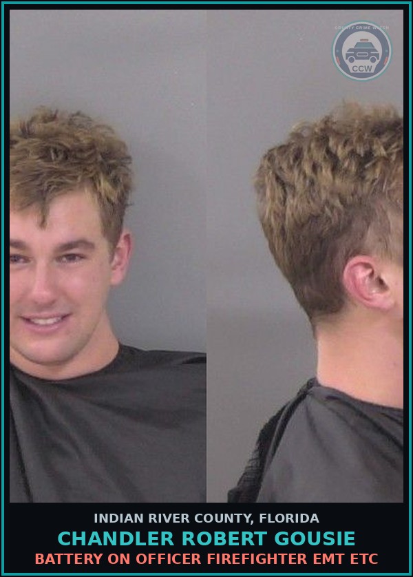 Booking mugshot of Chandler Robert Gousie in Indian River County