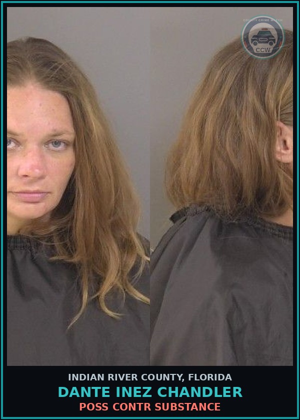 Booking mugshot of Dante Inez Chandler in Indian River County