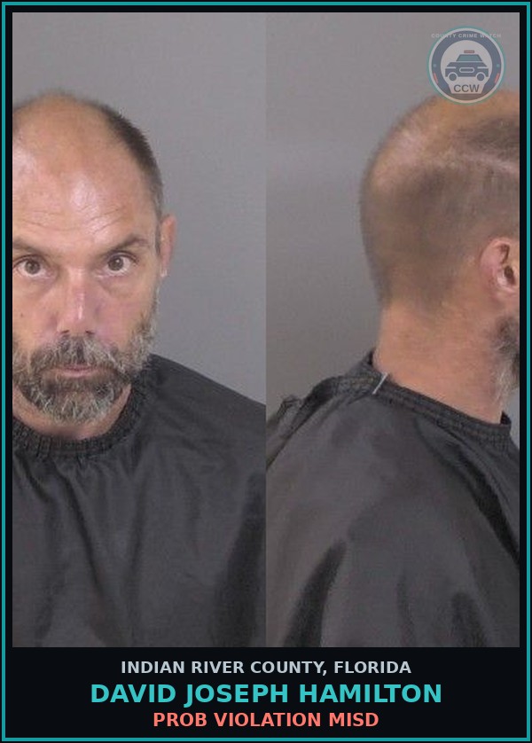 Booking mugshot of David Joseph Hamilton in Indian River County