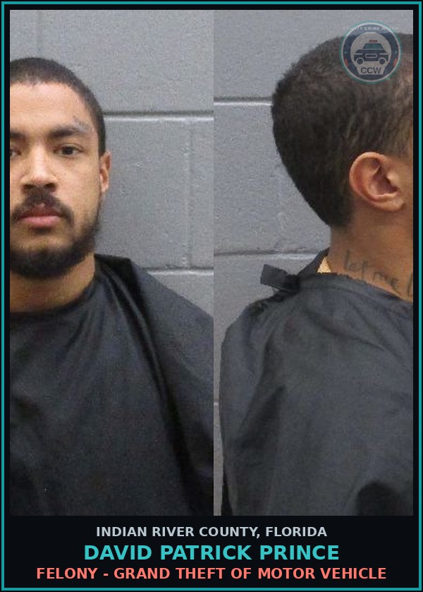 Booking mugshot of DAVID PATRICK PRINCE in Indian River County