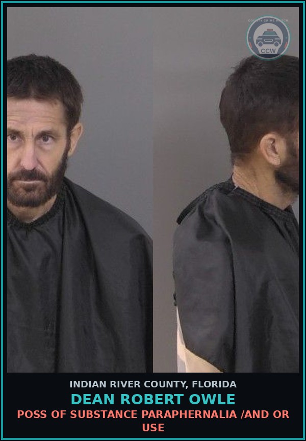 Booking mugshot of Dean Robert Owle in Indian River County