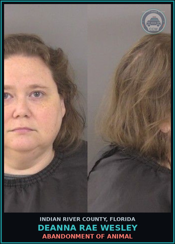Booking mugshot of Deanna Rae Wesley in Indian River County