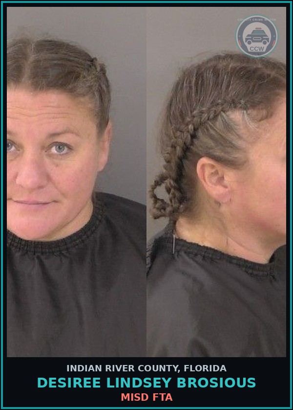 Booking mugshot of Desiree Lindsey Brosious in Indian River County