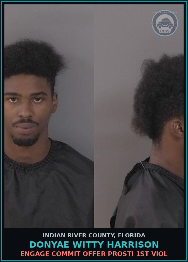 Booking mugshot of Donyae Witty Harrison in Indian River County