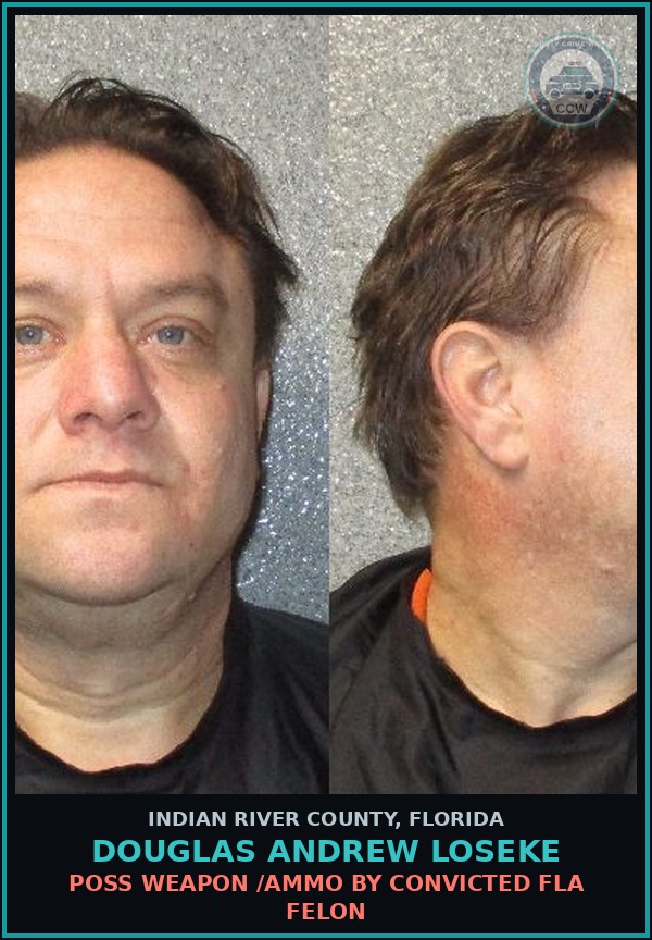 Booking mugshot of DOUGLAS ANDREW LOSEKE in Indian River County