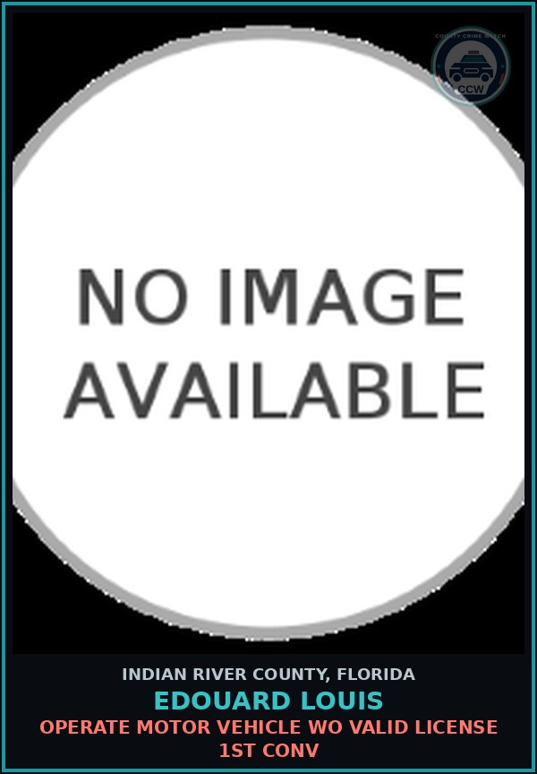 Booking mugshot of EDOUARD LOUIS in Indian River County