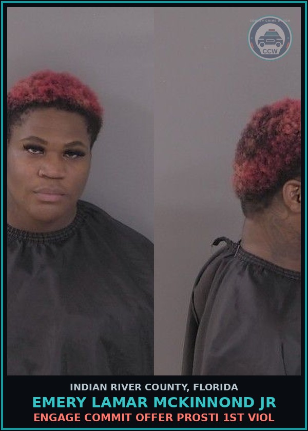 Booking mugshot of Emery Lamar McKinnond Jr in Indian River County