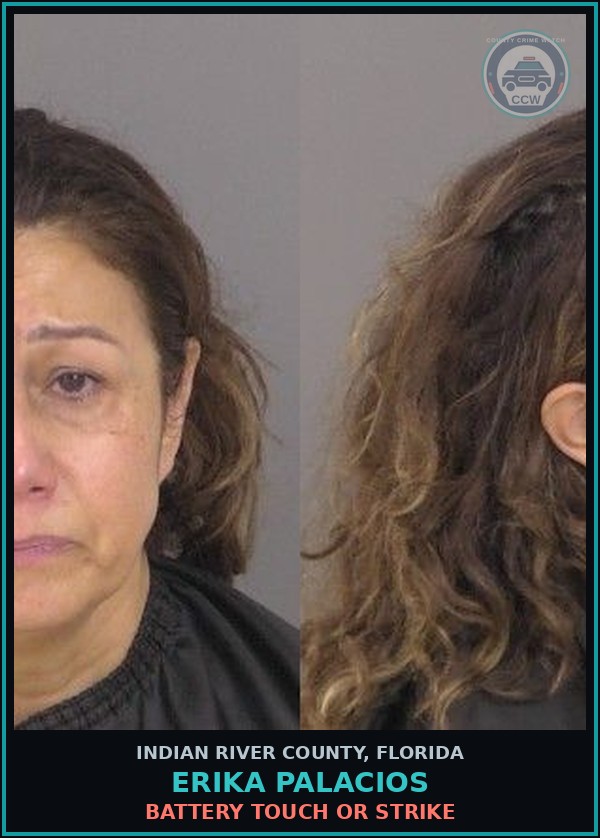 Booking mugshot of Erika Palacios in Indian River County