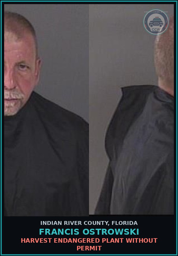 Booking mugshot of Francis Ostrowski in Indian River County