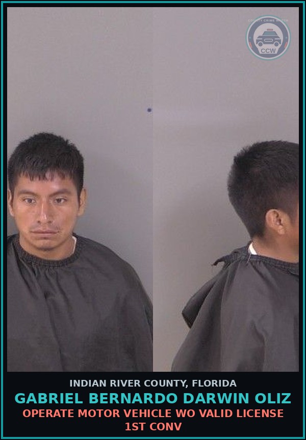Booking mugshot of GABRIEL BERNARDO DARWIN OLIZ in Indian River County