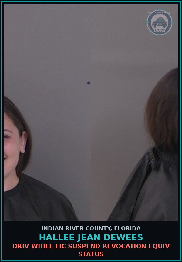 Booking mugshot of Hallee Jean Dewees in Indian River County