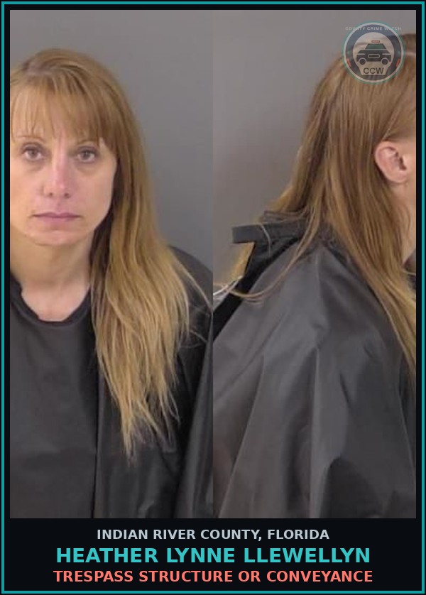 Booking mugshot of Heather Lynne Llewellyn in Indian River County