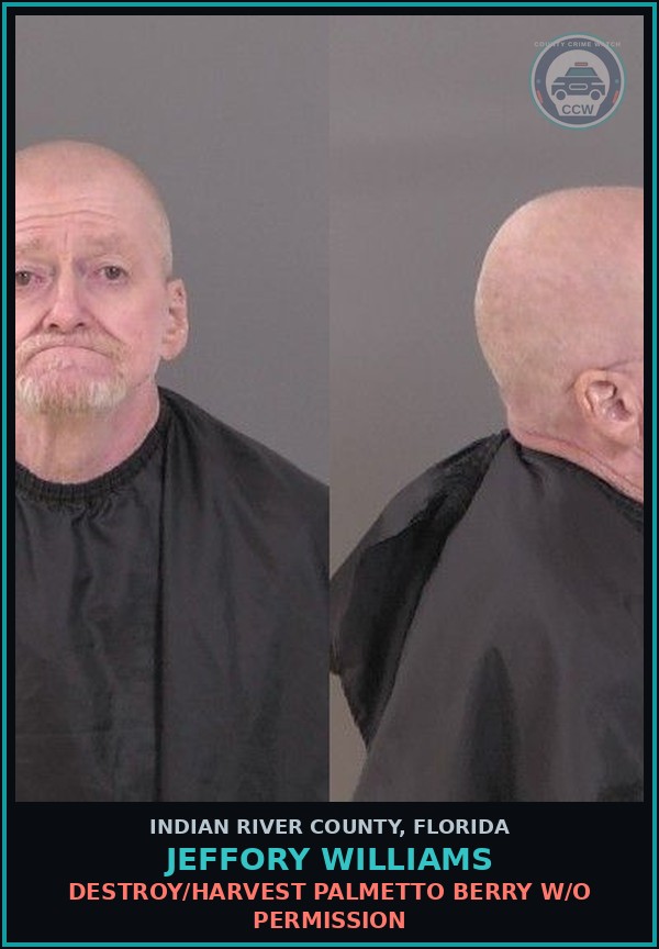Booking mugshot of Jeffory Williams in Indian River County