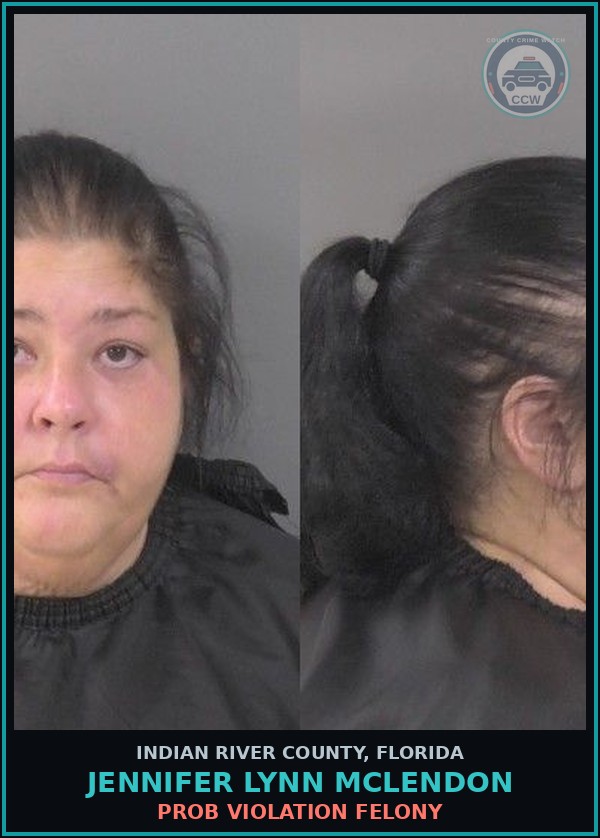 Booking mugshot of Jennifer Lynn McLendon in Indian River County
