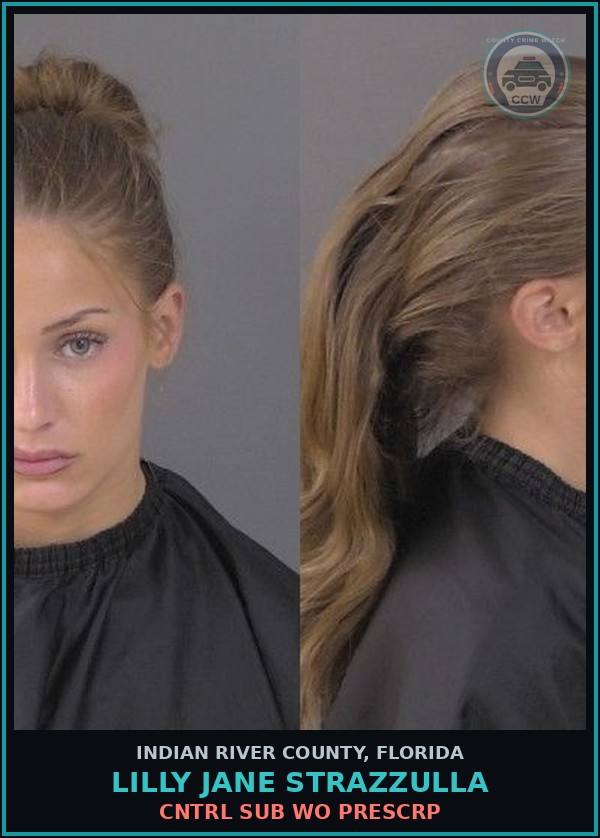 Booking mugshot of Lilly Jane Strazzulla in Indian River County
