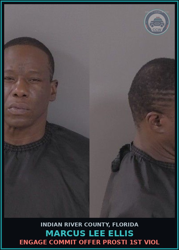 Booking mugshot of Marcus Lee Ellis in Indian River County