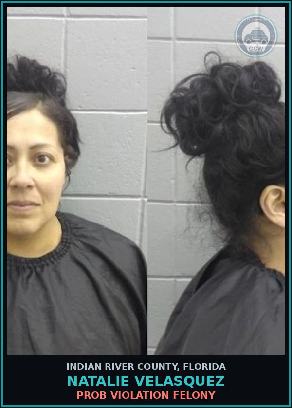 Booking mugshot of Natalie Velasquez in Indian River County