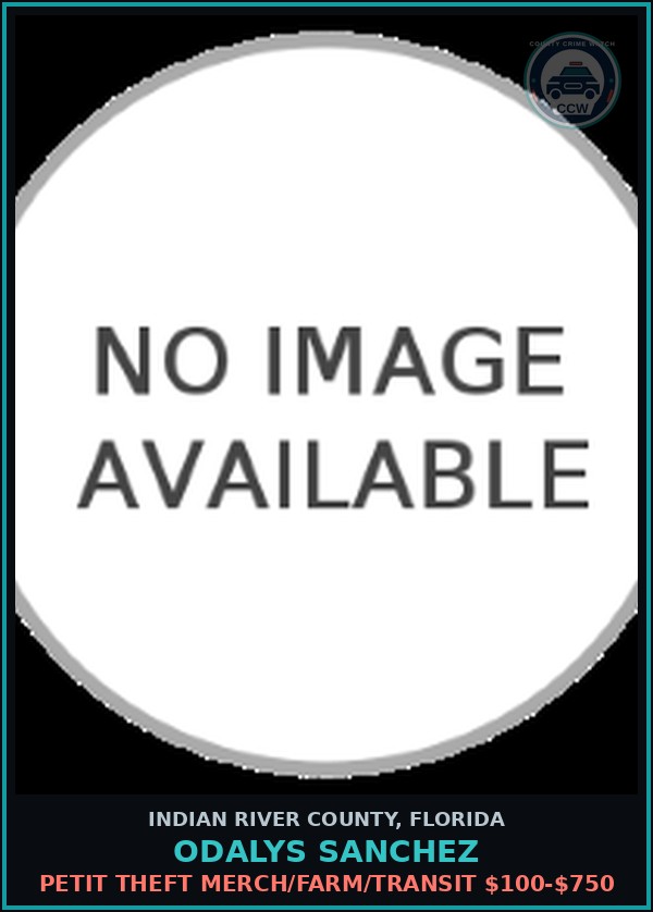 Booking mugshot of Odalys Sanchez in Indian River County