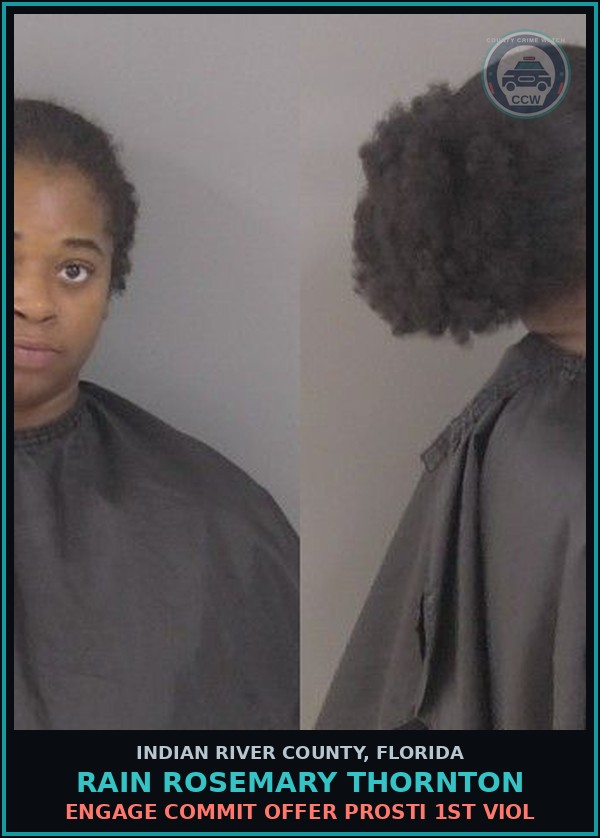 Booking mugshot of Rain Rosemary Thornton in Indian River County
