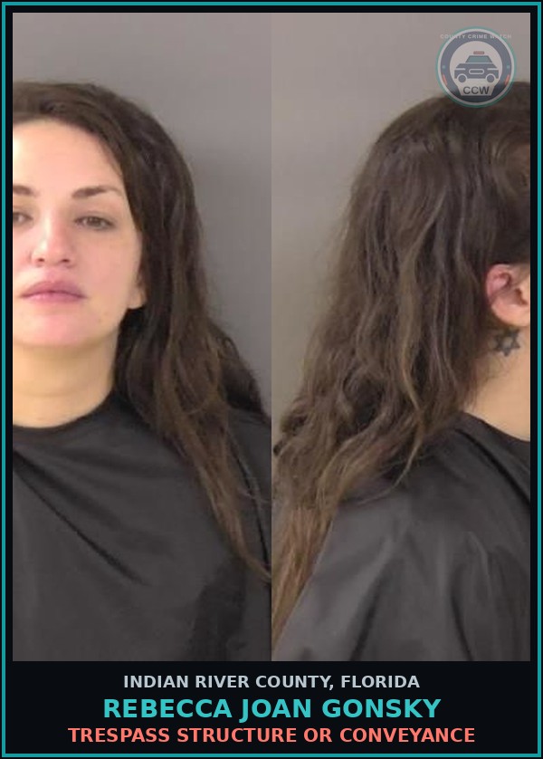 Booking mugshot of Rebecca Joan Gonsky in Indian River County