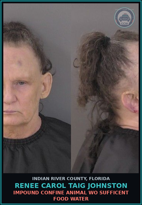 Booking mugshot of Renee Carol Taig Johnston in Indian River County