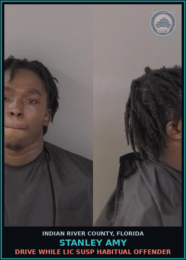 Booking mugshot of Stanley Amy in Indian River County