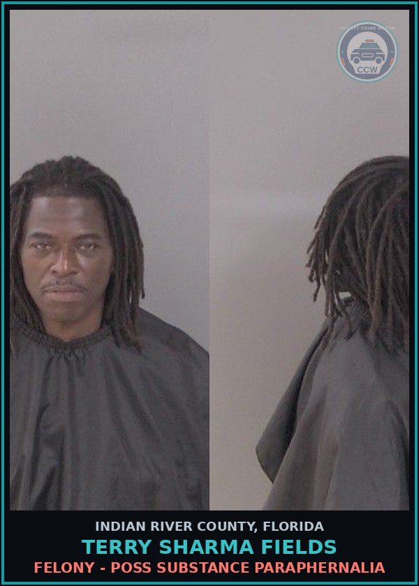 Booking mugshot of Terry Sharma Fields in Indian River County
