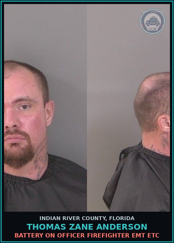 Booking mugshot of Thomas Zane Anderson in Indian River County