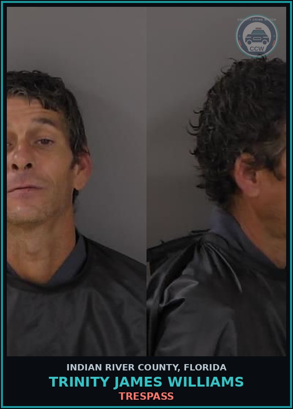 Booking mugshot of Trinity James Williams in Indian River County