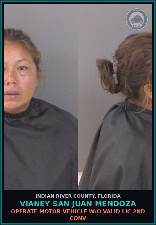 Booking mugshot of Vianey San Juan Mendoza in Indian River County
