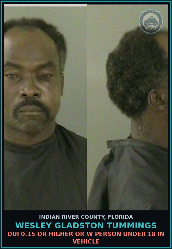 Booking mugshot of WESLEY GLADSTON TUMMINGS in Indian River County