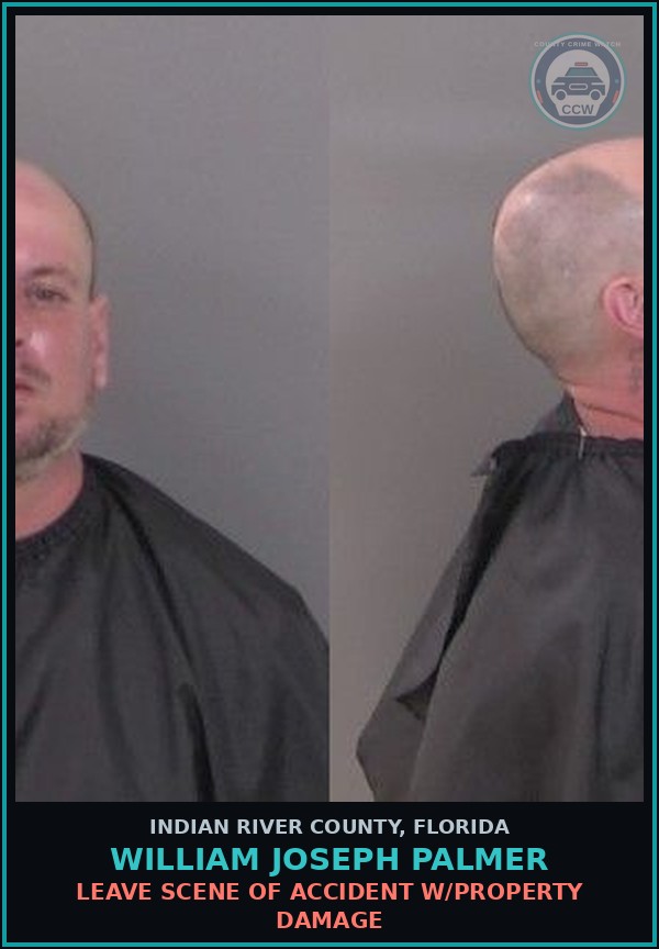 Booking mugshot of William Joseph Palmer in Indian River County
