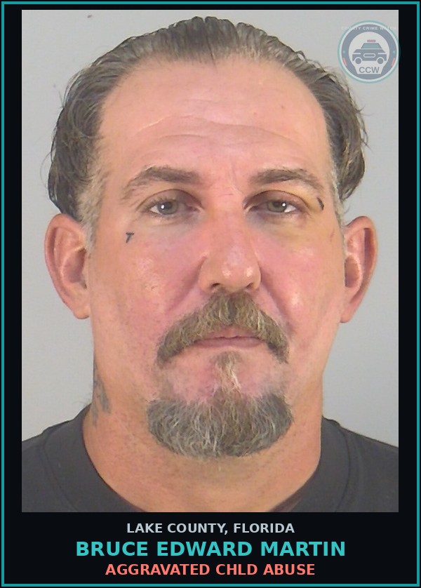 Booking mugshot of BRUCE EDWARD MARTIN in Lake County