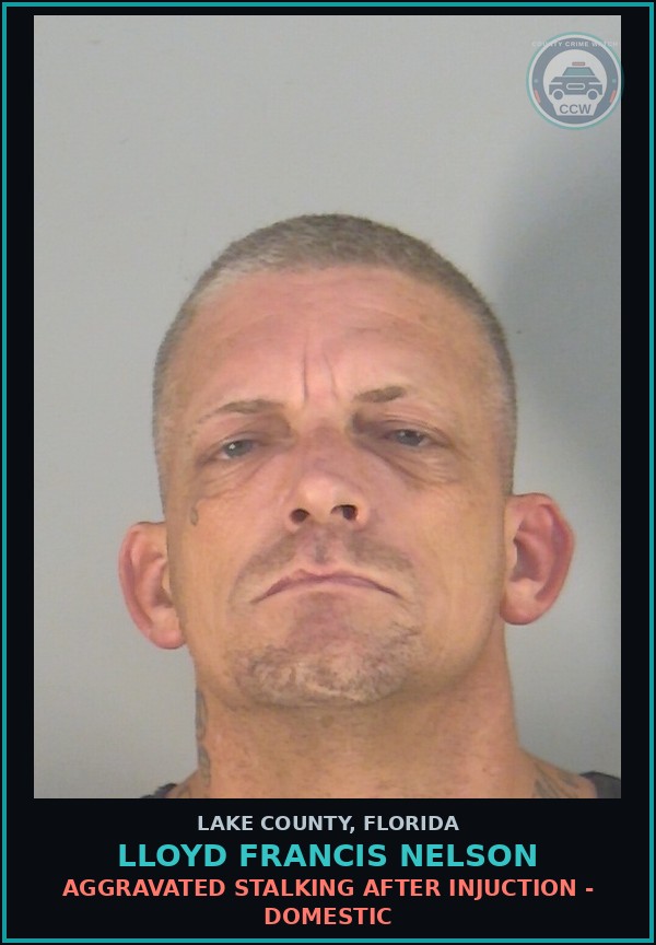 Booking mugshot of LLOYD FRANCIS NELSON in Lake County