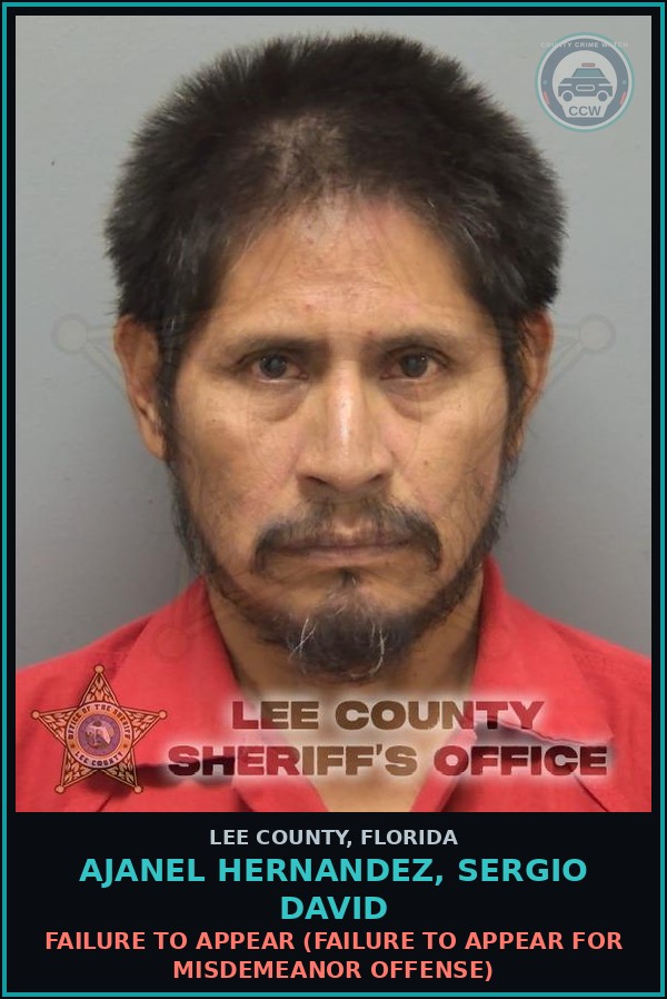 Booking mugshot of AJANEL HERNANDEZ, SERGIO DAVID in Lee County