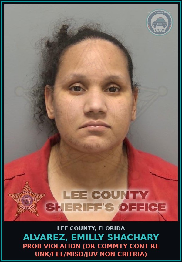Booking mugshot of ALVAREZ, EMILLY SHACHARY in Lee County