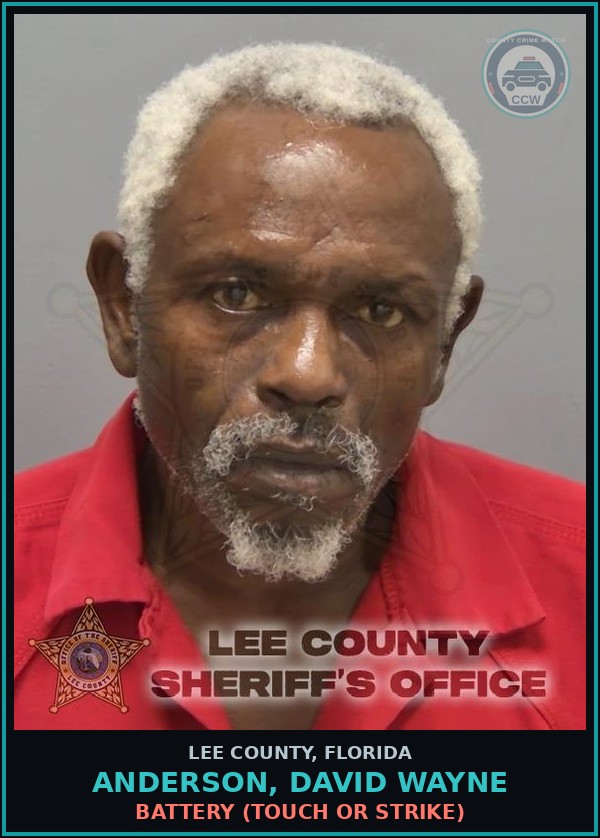 Booking mugshot of ANDERSON, DAVID WAYNE in Lee County