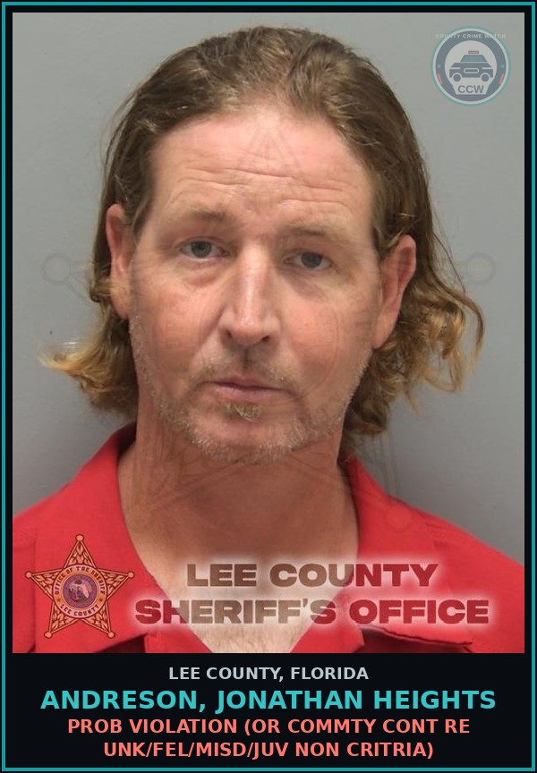 Booking mugshot of ANDRESON, JONATHAN HEIGHTS in Lee County