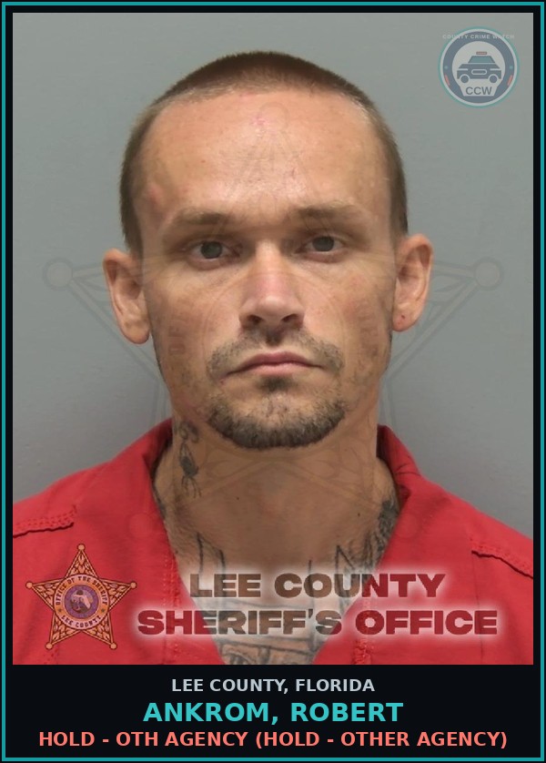 Booking mugshot of ANKROM, ROBERT in Lee County