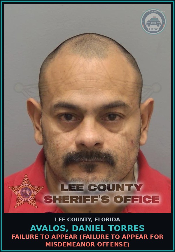 Booking mugshot of AVALOS, DANIEL TORRES in Lee County