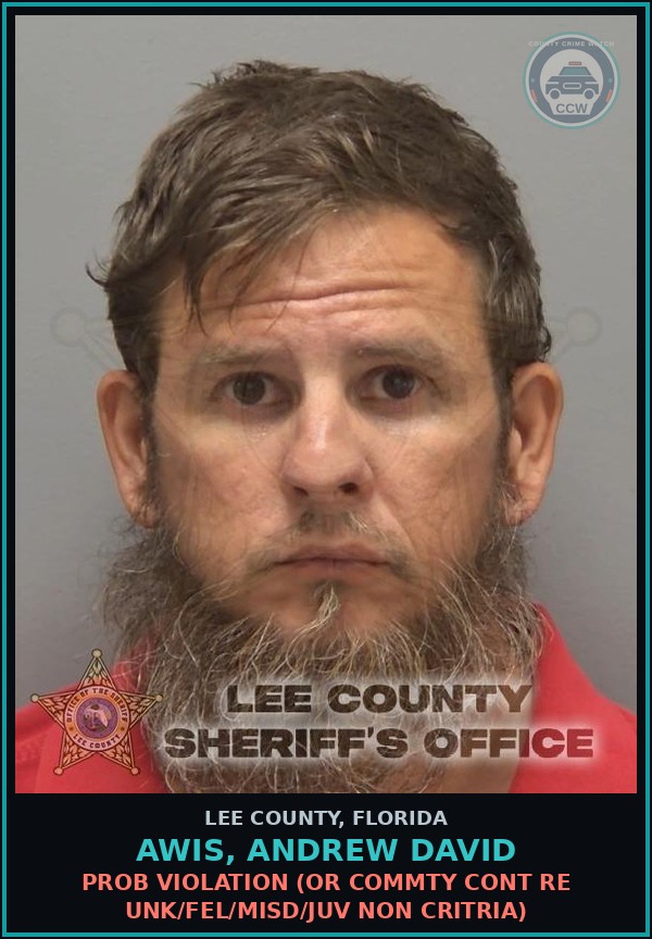 Booking mugshot of AWIS, ANDREW DAVID in Lee County