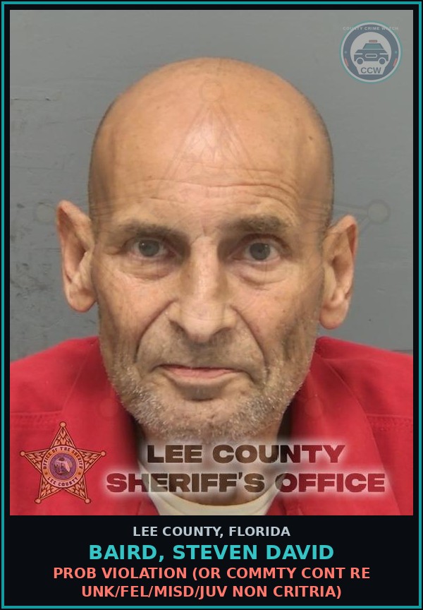 Booking mugshot of BAIRD, STEVEN DAVID in Lee County