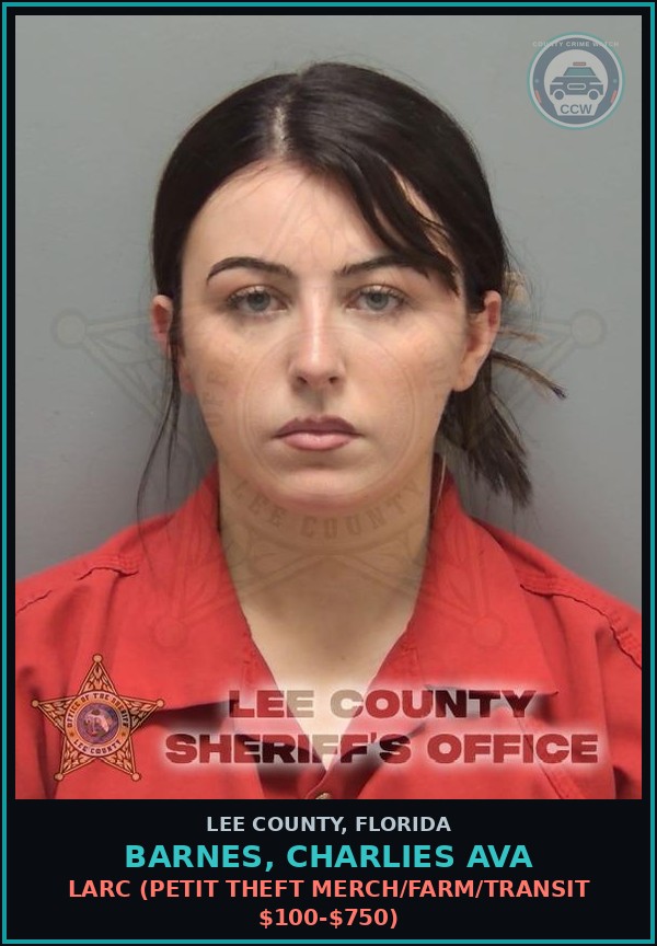 Booking mugshot of BARNES, CHARLIES AVA in Lee County