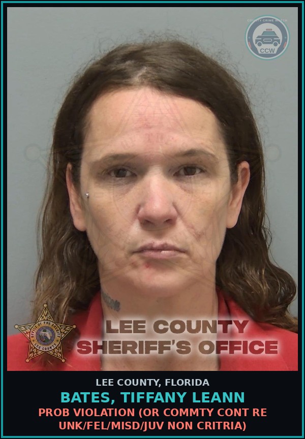 Booking mugshot of BATES, TIFFANY LEANN in Lee County