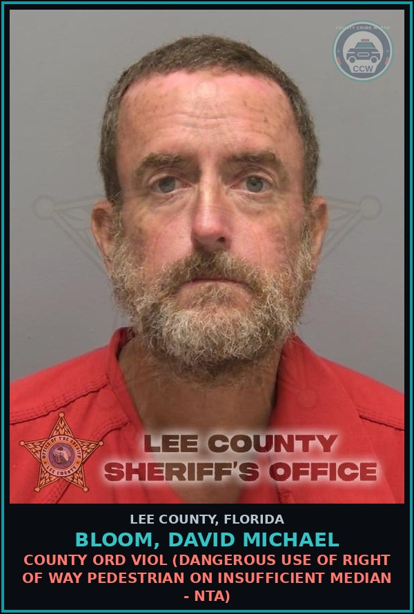 Booking mugshot of BLOOM, DAVID MICHAEL in Lee County
